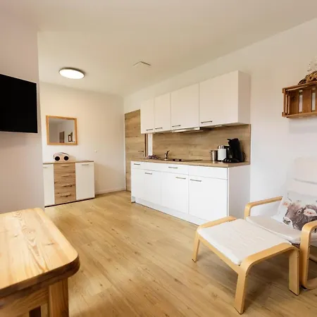 公寓 Chalet Winterberg